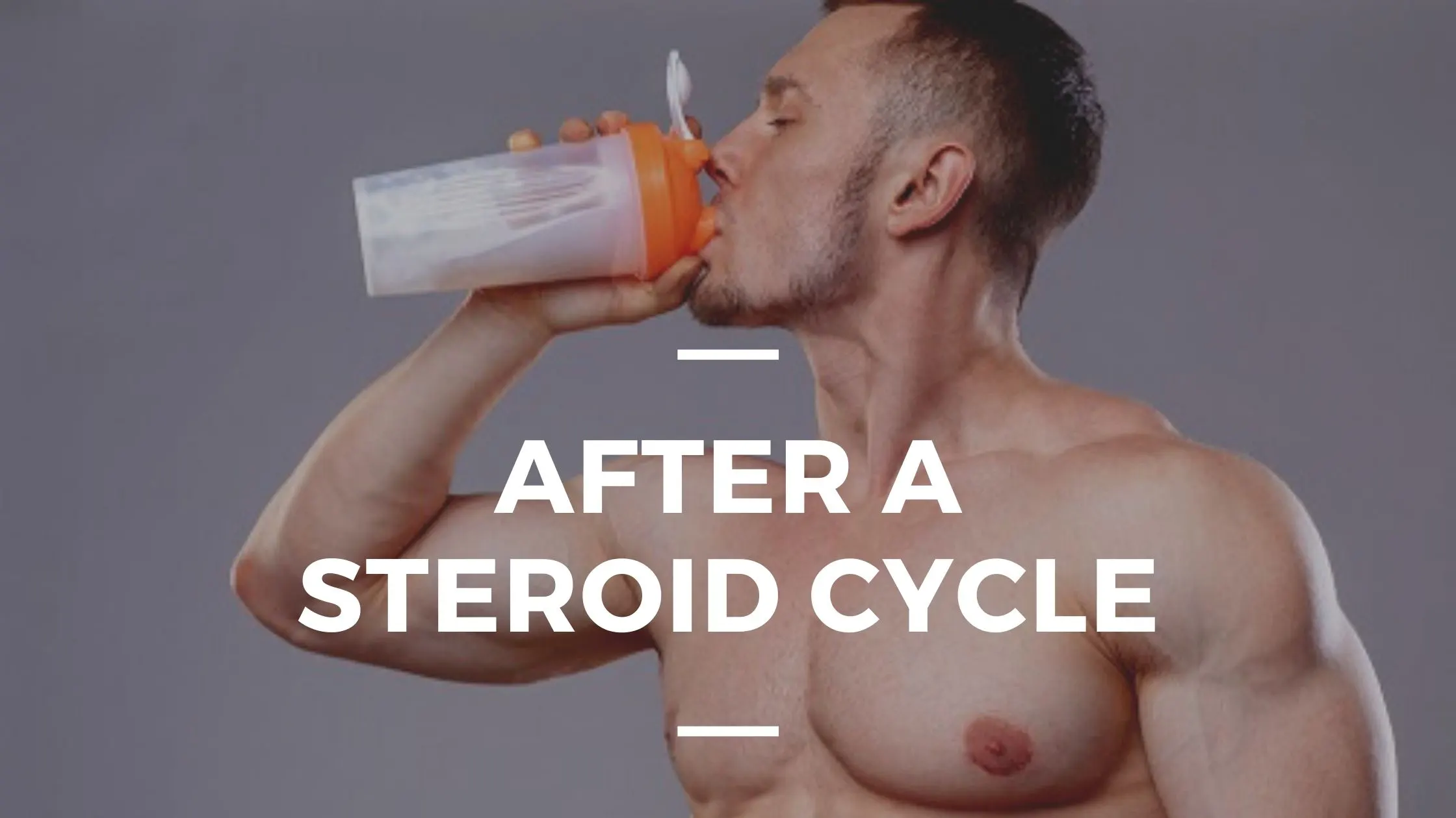 after a steroid cycle