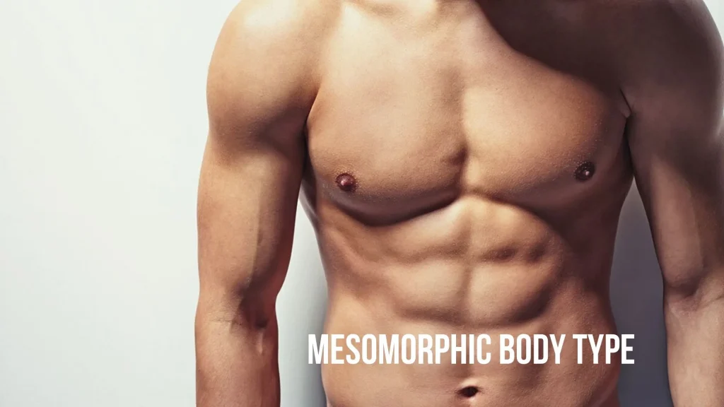 mesomorphic body type